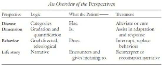 an-overview-of-the-perspectives1